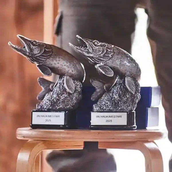 Iin haukifestareitten vetouistelukilpailu